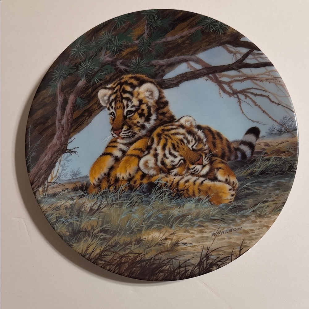 Vintage 1992. Will Nelson. Nap Time. Paw Prints: Baby Cats of the Wild. 2026A